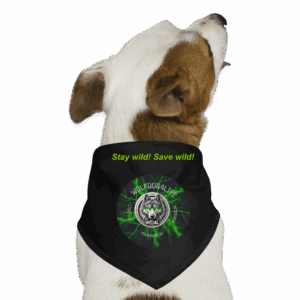 Stylisches Hunde-Bandana – Für Fellnasen mit Charakter
